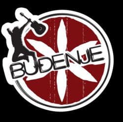 logobudjenje