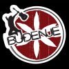 logo buđenje